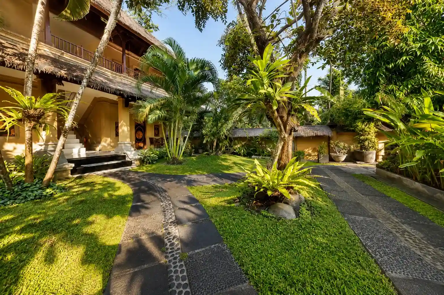Tropical garden