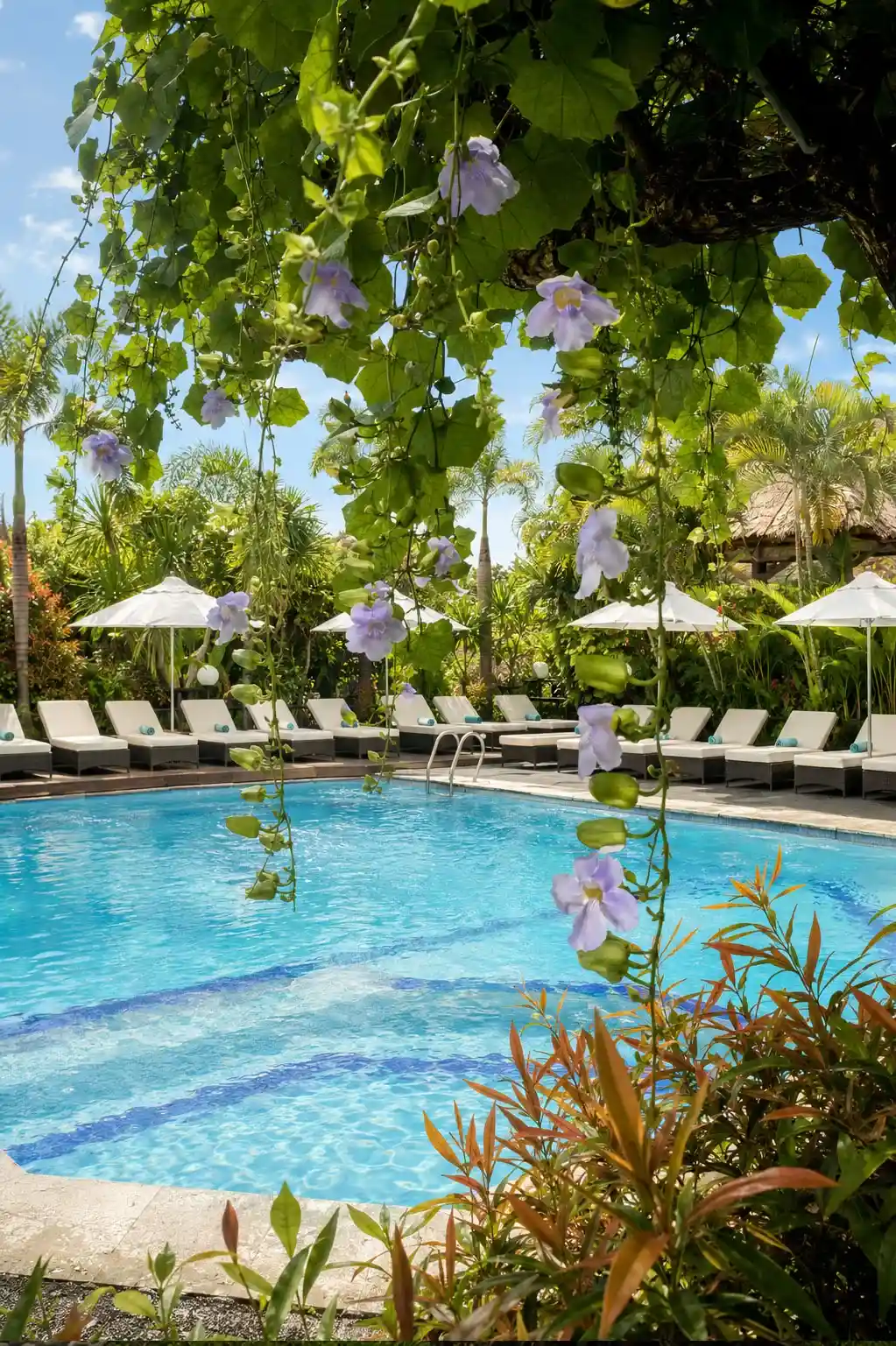 Outdoor swimming pool surrounded by tropical gardens at Bali Agung Village Seminyak